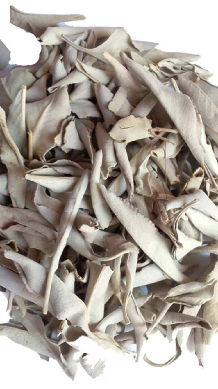 white sage smudge stick 8 inch