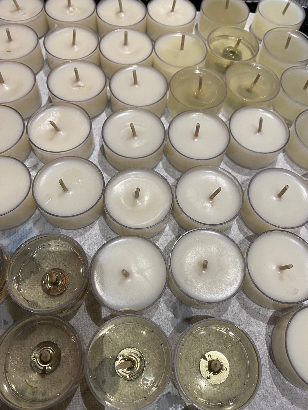 coconut wax tealight candles